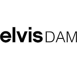elvisdam