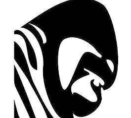 zebraapa