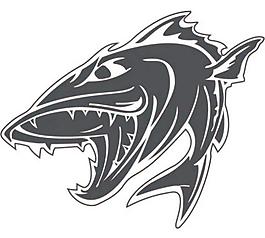 魚