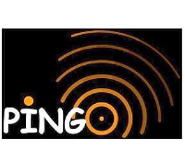 Pingo