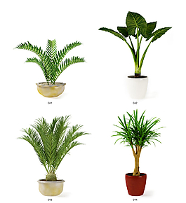 清新綠色植物