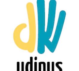 udinus股份