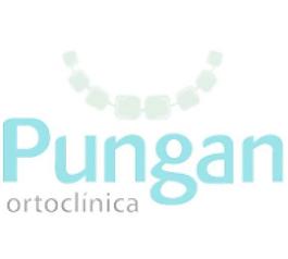 pungan ortoclí公司