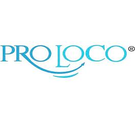 Pro本地記錄