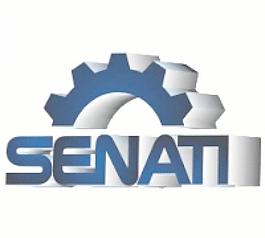 senati irwhins