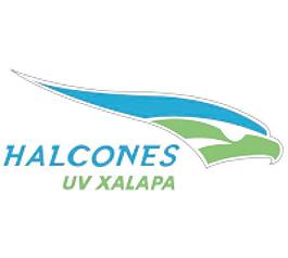 halcones UV哈拉帕