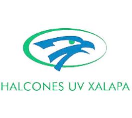 halcones UV哈拉帕