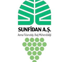 太阳fidan