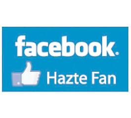 facebook粉絲