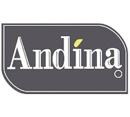 公司的Andina