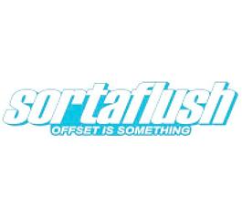 sortaflush偏移是什么