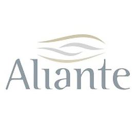 aliante SRL