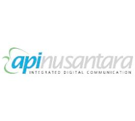 API公司