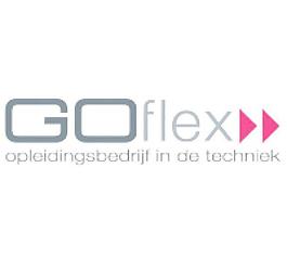 GoFlex年輕的專業(yè)公司