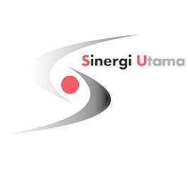 sinergi公司