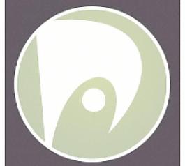 palyssa videoworks