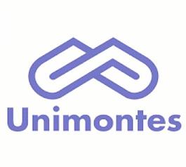 unimontes