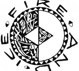 大眾汽車(chē)火災(zāi)