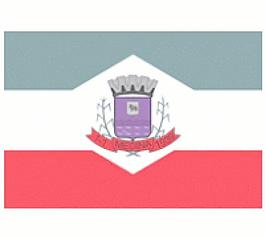 麥地那米納斯吉拉斯