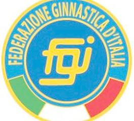 federazione ginnastica王国