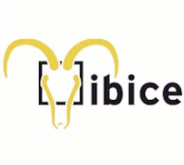 ibice