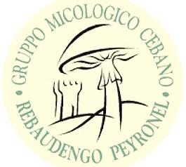 該micologico cebano