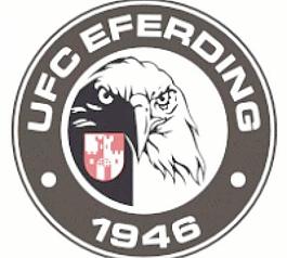 UFC埃費丁