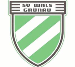 SV WALS GRü瑙