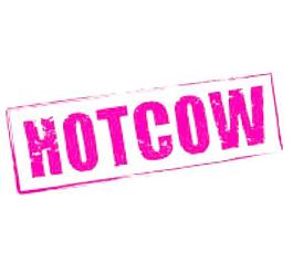 hotcow經(jīng)驗的機構(gòu)