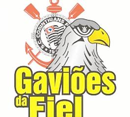GAVI的