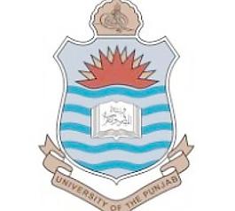 旁遮普的大学
