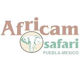 africam Safari