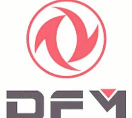 DFM