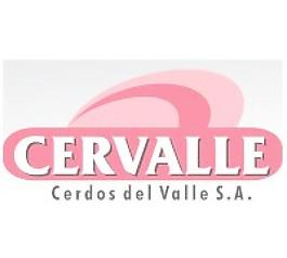 cervalle
