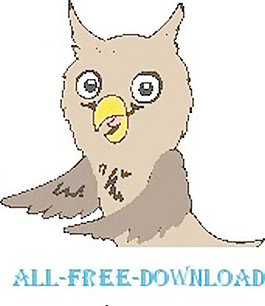 OWL 24