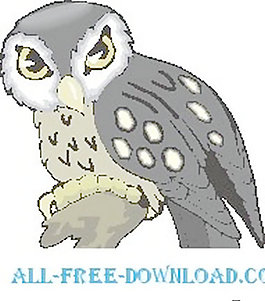 OWL 21