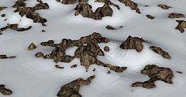 雪景模型