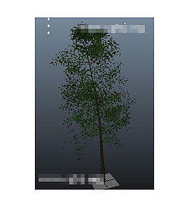 樹木3D模型
