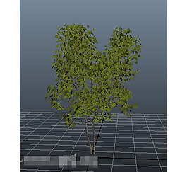 植物3d模型圖片
