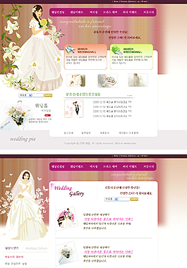精美婚紗攝影網(wǎng)站