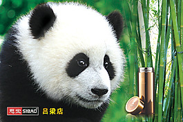 思寶水杯