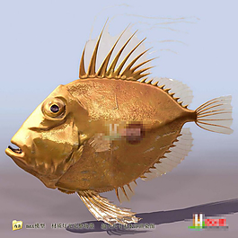 兇猛的食人魚