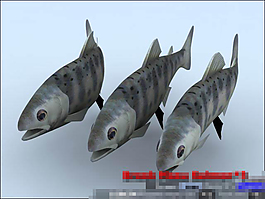 魚兒的模型素材