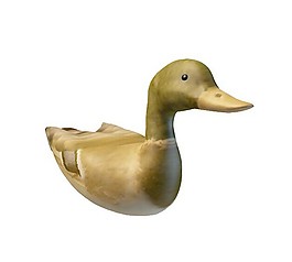 鴨子3d模型
