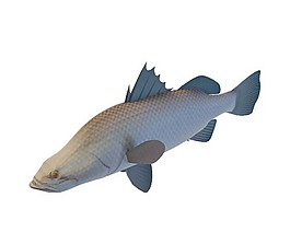 魚類3d模型
