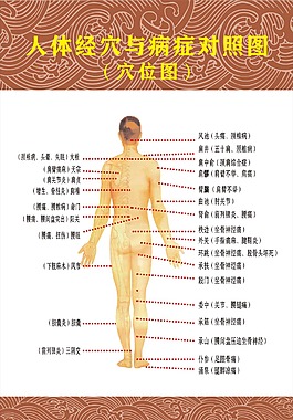 穴位圖