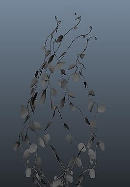 植物模型