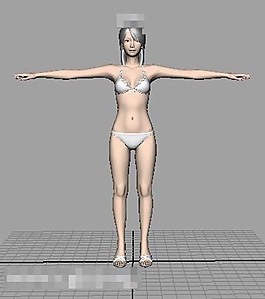 淑女模型