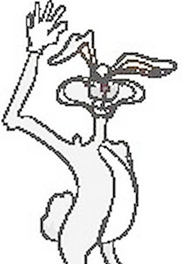 兔揮