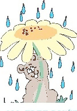 鼠標在雨中